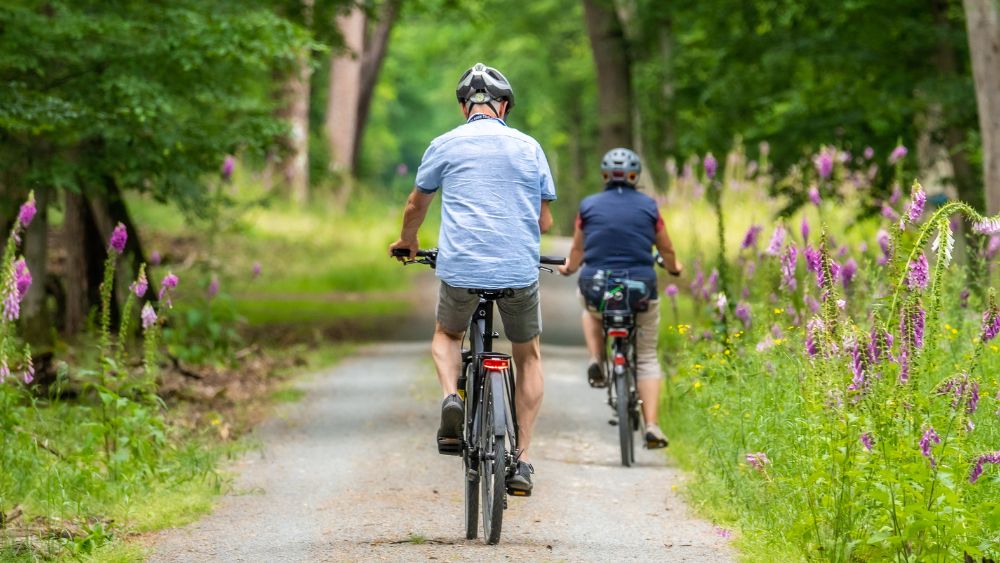 bici; escursioni