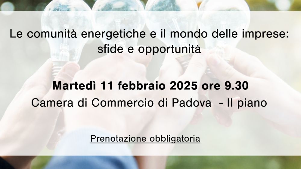 La Camera di Commercio organizza un evento volto a esplorare le potenzialità offerte dalle Comunità Energetiche Rinnovabili e Solidali