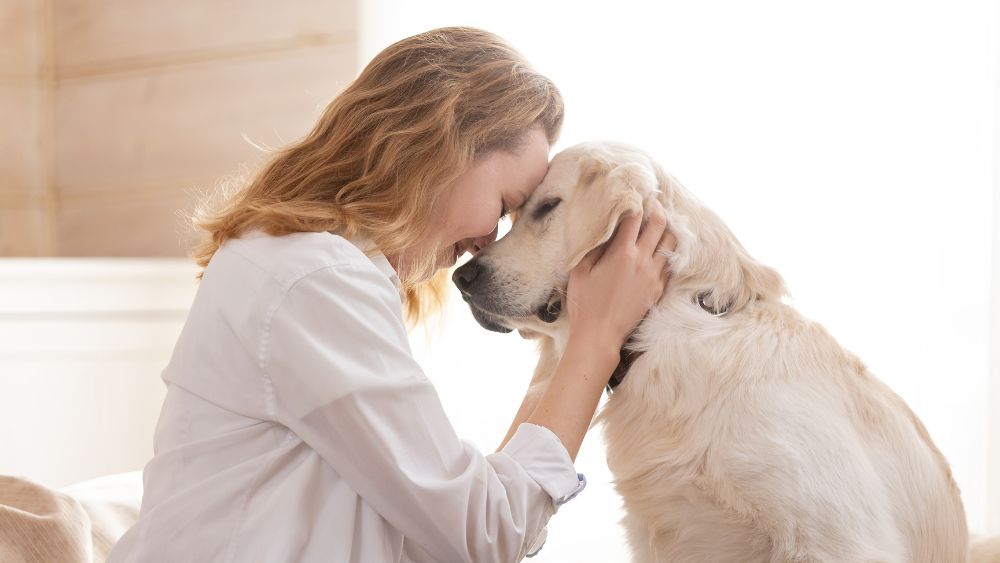 Zampe in Spalla è un percorso di Pet Therapy rivolto a ragazzi e ragazze che desiderano approfondire la conoscenza degli animali